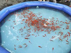 -海上海弘基休闲广场