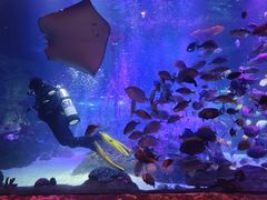 -沈阳海洋探索中心