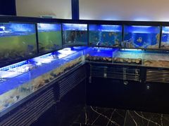 水产区-福禧荟·海鲜自助