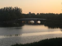 -大兴滨河森林公园