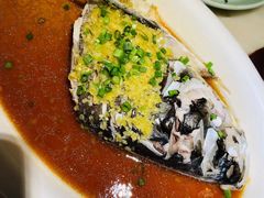 鱼头诱惑-绿茶餐厅(西单老佛爷店)