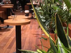 -Seesaw Coffee(朝阳大悦城店)