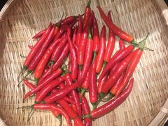 -千稻剁椒大鱼头(CityOn熙地港店)