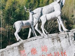 -长沙黑麋峰国家森林公园