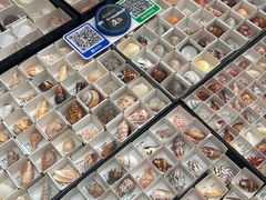 -万达广场(武汉菱角湖店)