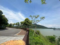 -羚羊峡古栈道森林公园