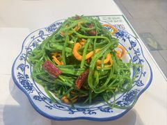 -真食净香居·内蒙稍麦(亚运村店)