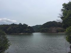 -广州市石门国家森林公园
