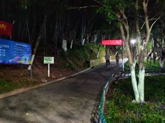 -峙山公园