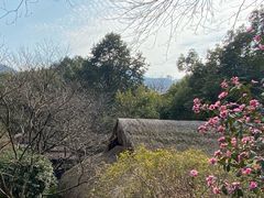-中国茶叶博物馆(双峰馆区)