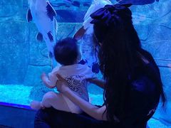 -成都浩海立方海洋公园