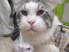 -斯普瑞斯奥特莱斯