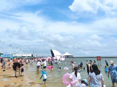 -碧海金沙