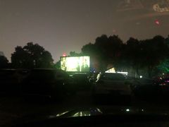 -枫花园汽车电影院(朝阳公园店)