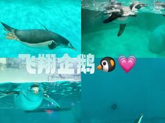 -正佳极地海洋世界