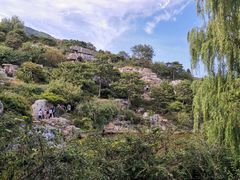 -北京西山国家森林公园