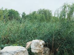 -水西公园