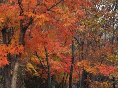 -丹东天桥沟景区