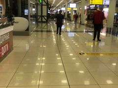 -谢列梅捷沃国际机场