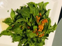 爽口冰菜-九十九顶毡房(阜石路店)