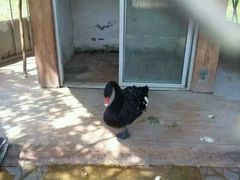 -祥源·阜阳生态乐园