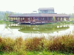 -白鹭湾湿地公园