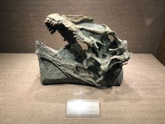 -自贡恐龙博物馆