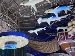 -烟台海昌鲸鲨海洋公园