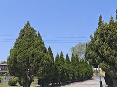 -清风小镇闯关东影视基地