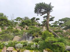 -罗红摄影艺术馆