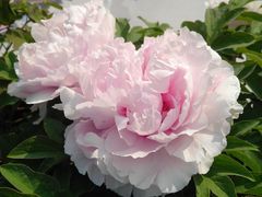 -合肥三国新城遗址公园