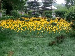 -长春公园(普阳街道)