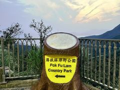 -太平山顶