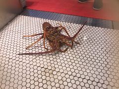 -万龙洲海鲜(大兴绿地缤纷城店)