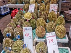 -油麻地果栏