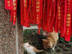 -古大圣慈寺