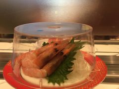 -元气寿司(新城市广场店)