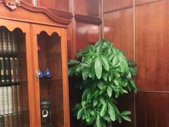 -梦都海鲜酒家(万达广场江桥店)