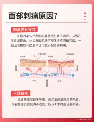 点击看大图 -玛莲朵·海菲秀冰珀科