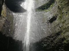 -江西阳明山国家森林公园