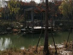 -上海浦江郊野公园-2号停车场