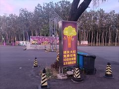 -枫花园汽车电影院(朝阳公园店)