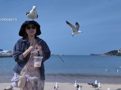 -海驴岛(荣成市)
