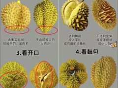 -百果园PAGODA(玄武成贤街店)