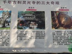 -灵光寺