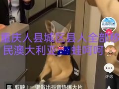 -约翰·菲茨杰拉德·肯尼迪国际机场