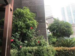 -世纪缘国际会议中心·中餐厅(百家湖店)