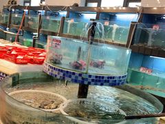 水产区-渔满仓海鲜渔家(象山二店)
