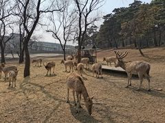 -沈阳森林动物园