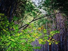 -敬亭山风景名胜区